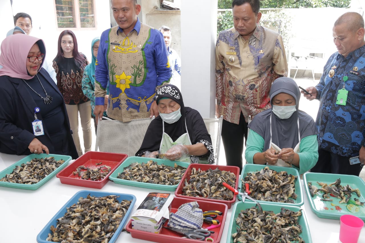 Wabup Pringsewu dan Kepala BPOM Kunjungi Rafin’s Snack