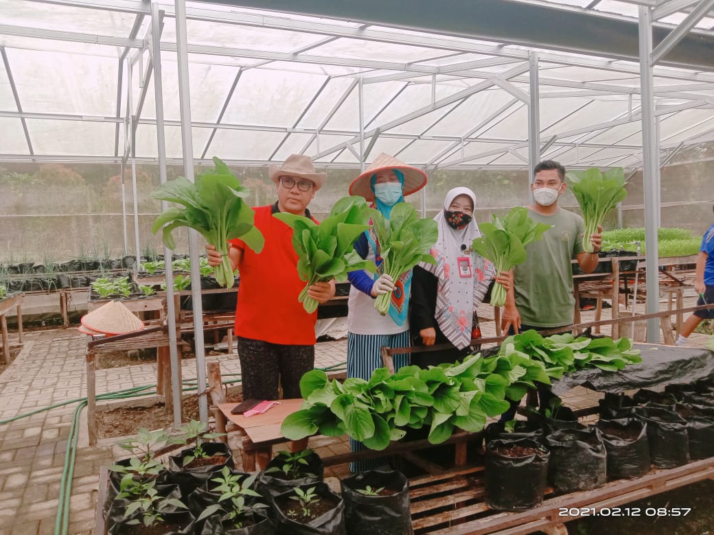 Walikota Metro Terpilih Beserta Istri Memanen Sayuran di Green House TMII