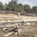 Proyek Konservasi: Ratusan Miliar Untuk Bangun Pagar Pembatas Way Kambas, Ribuan Pohon Ditebangi?